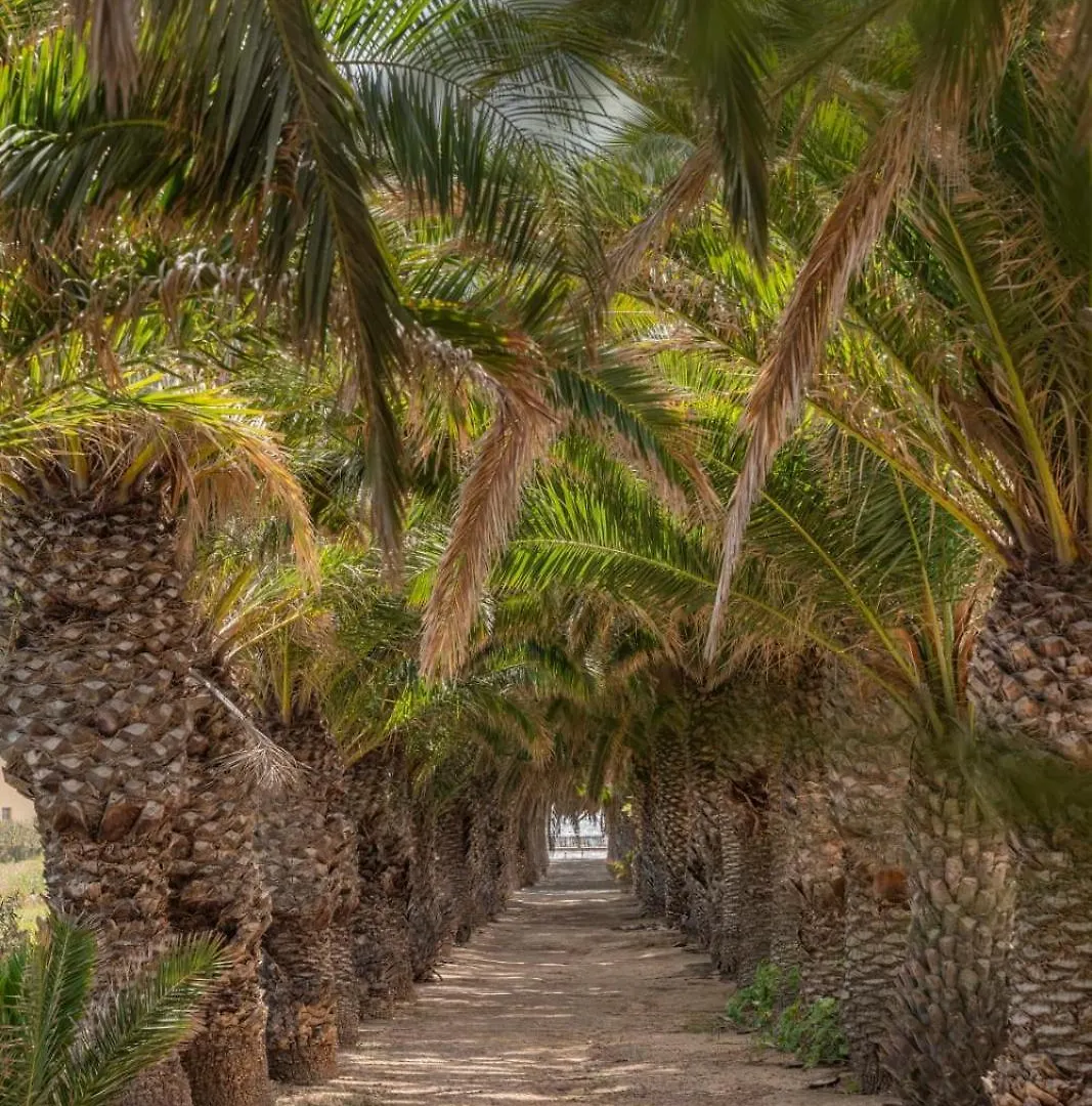 פורטו סנטו Casa Do Ribeiro Salgado By An Island Apart בית נופש